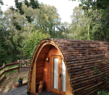 Photo of Owl Hut Cosy Ensuite Pod Snowdonia Coast Sleeps 2