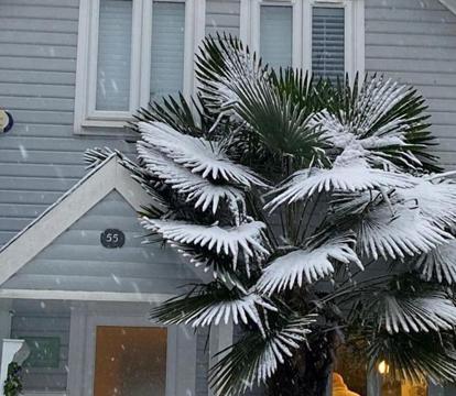 Photo of Herons Hideout