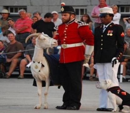 Photo of Holiday Inn Express Kingston Central, an IHG Hotel