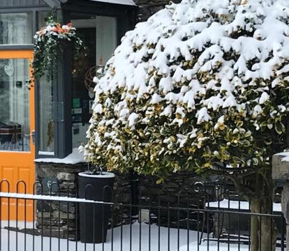 Photo of Holly Lodge Guest House with FREE off site health club