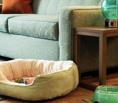 Photo of Home2 Suites By Hilton Grand Rapids North