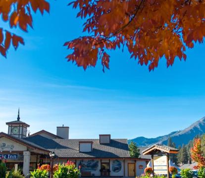 Photo of Icicle Village Resort