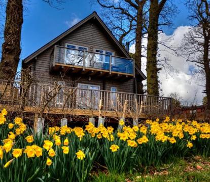 Photo of iLodge Ultra