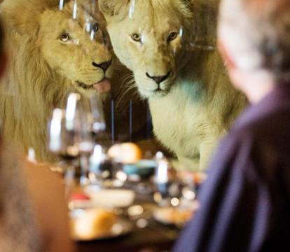 Photo of Jamala Wildlife Lodge