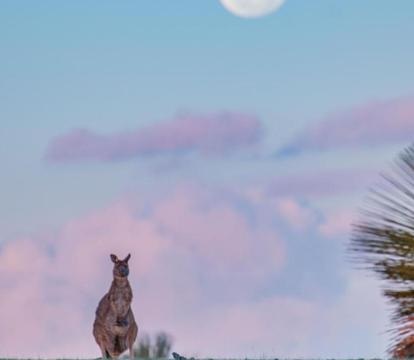 Photo of Ecopia Retreat