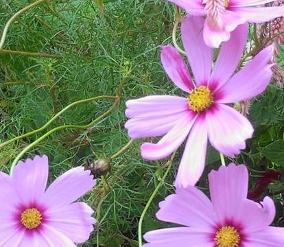 Photo of King George Inn