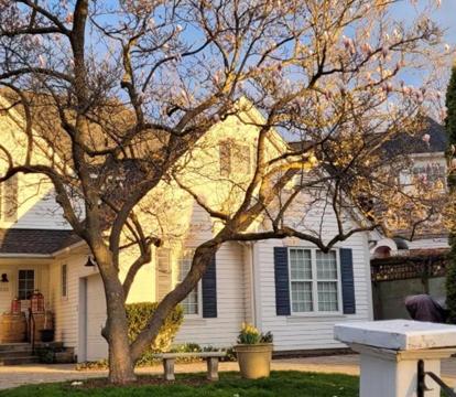 Photo of La Maison de Sophie