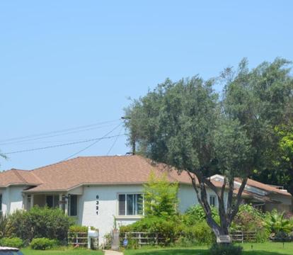 Photo of LAX Teresa AIR B&B