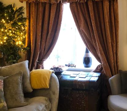 Photo of Lazy Nest is a Lazy comfortable Nest to laze