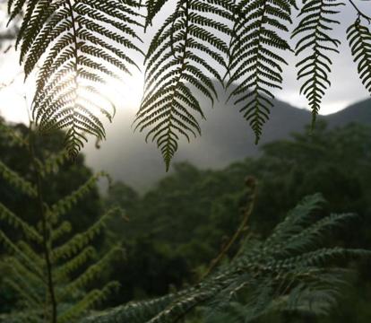 Photo of Limpinwood Lodge