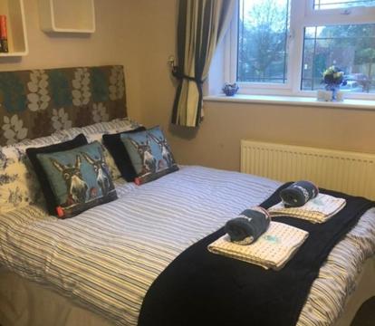 Photo of Little Acorns