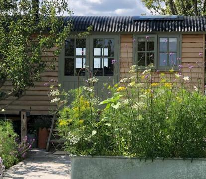 Photo of Little Plovers Shepherd Hut