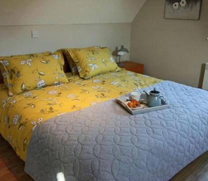 Photo of Little Wisteria