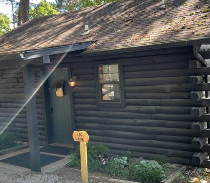 Photo of Loblolly Pines Adventure Log Cabin