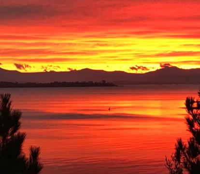 Photo of Loma Cottages