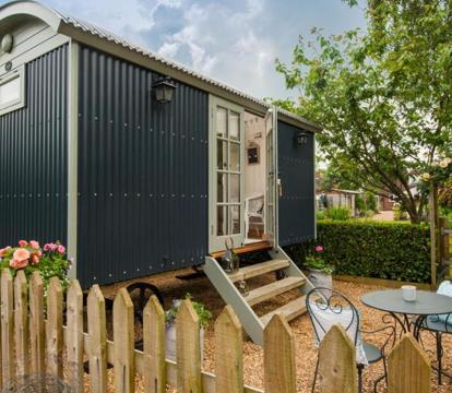 Photo of Dolly at Lowlands