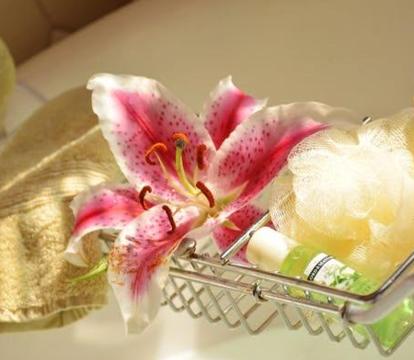 Photo of Manayunk Chambers Guest House