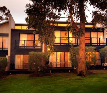 Photo of Margarets Forest