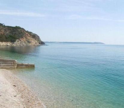 Photo of Antonia's Pearls