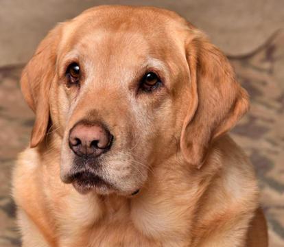 Photo of Mediterranean Edmonton B&B