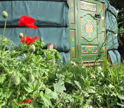 Photo of Mill Stream Yurt