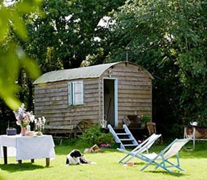 Photo of Mollies Hut