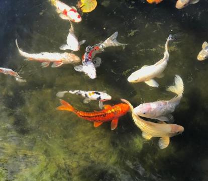 Photo of My Big Art Project