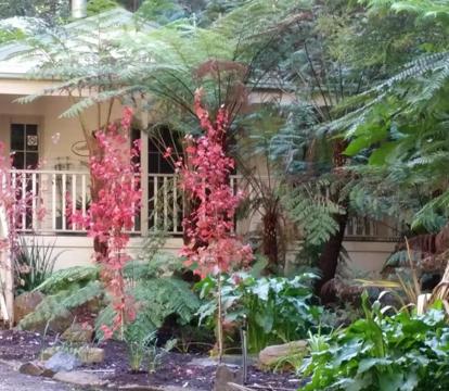 Photo of Myers Creek Cascades Luxury Cottages