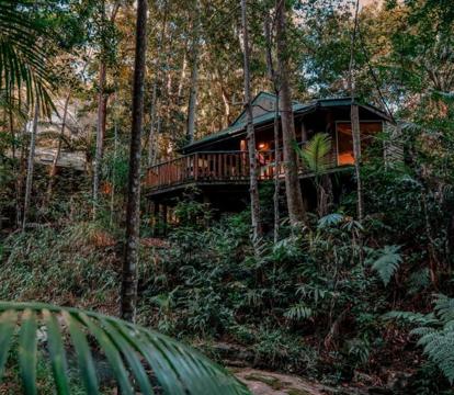 Photo of Narrows Escape Rainforest Retreat