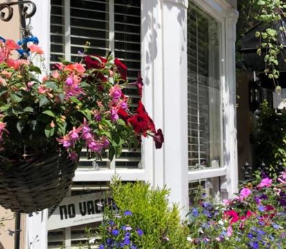 Photo of Number14brighton