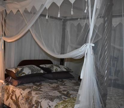 Photo of Oskar's Rain Forest Retreat