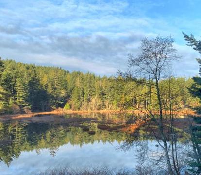 Photo of Otter's Pond Bed and Breakfast