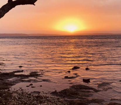 Photo of Paradise Beach Apartments