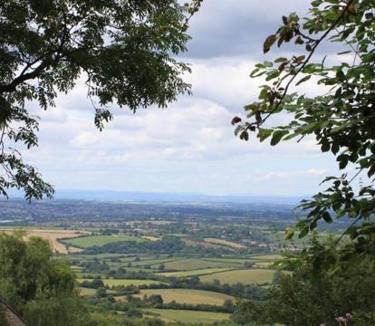 Photo of Pathways, Beachwood Cottage
