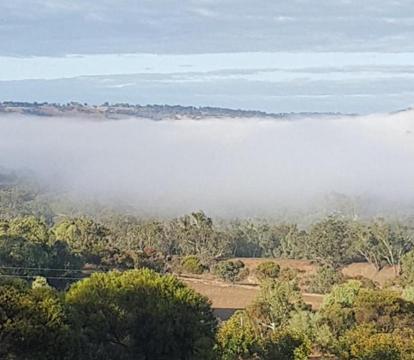 Photo of Pecan Hill BNB