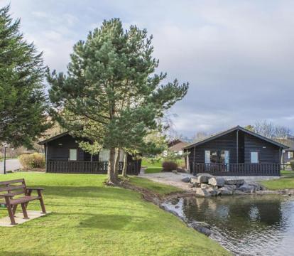 Photo of Pine Lake Resort