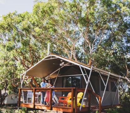 Photo of Port Stephens Koala Sanctuary