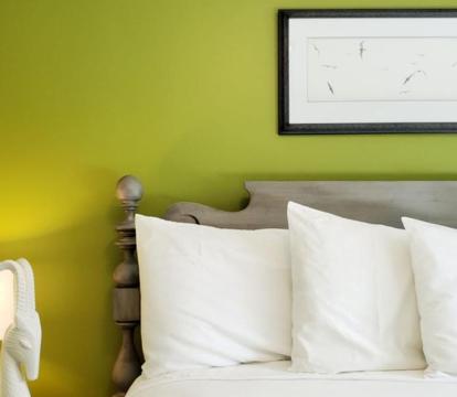 Photo of The Primrose