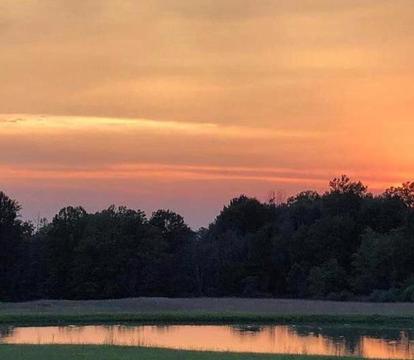 Photo of Purple Skies Homestead