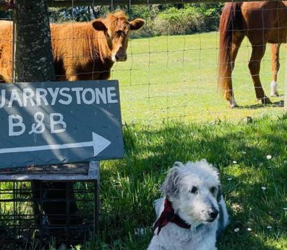 Photo of Quarrystone House B&B