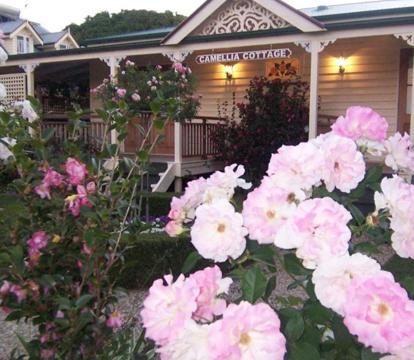 Photo of Reid's Place