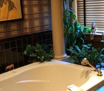 Photo of Renaissance Riverboat Suites and Rooms