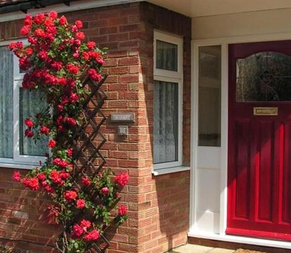 Photo of Rosa's Bed and Breakfast