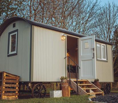 Photo of Shabby Shepherds