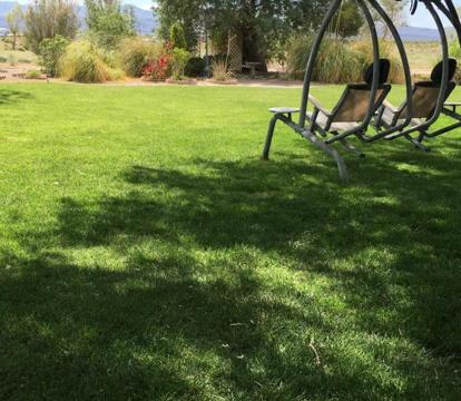 Photo of Shady Lady Bed and Breakfast