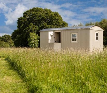 Photo of Romantic secluded Shepherd Hut Hares Rest