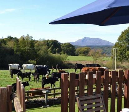 Photo of Siabod Luxury Cottage