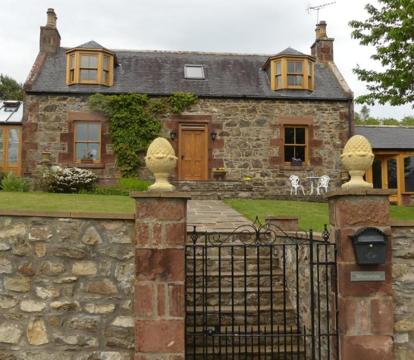 Photo of Silverstripe