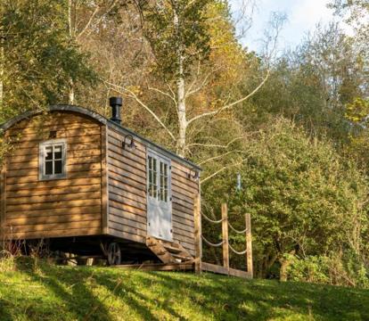 Photo of Somerset Shepherds Huts