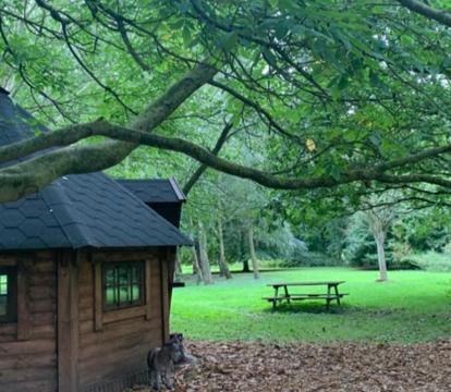 Photo of Starry Meadow